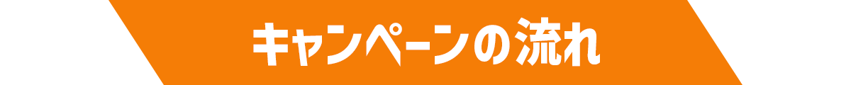 キャンペーンの流れ